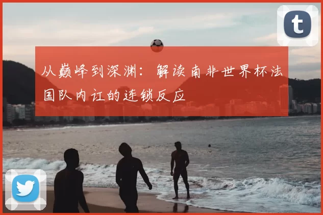 从巅峰到深渊：解读南非世界杯法国队内讧的连锁反应