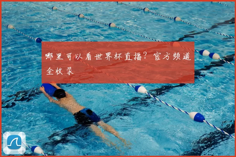 哪里可以看世界杯直播？官方频道全收录