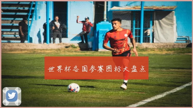 世界杯各国参赛图标大盘点