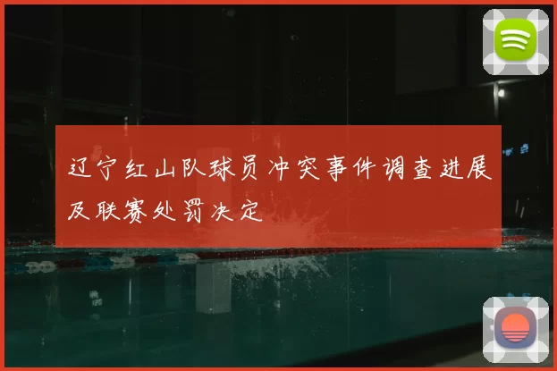 辽宁红山队球员冲突事件调查进展及联赛处罚决定