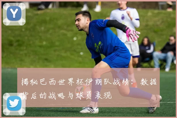 揭秘巴西世界杯伊朗队战绩:数据背后的战略与球员表现