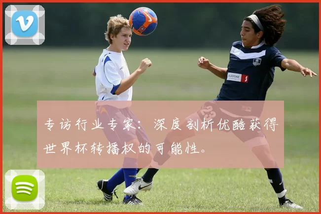 专访行业专家：深度剖析优酷获得世界杯转播权的可能性。