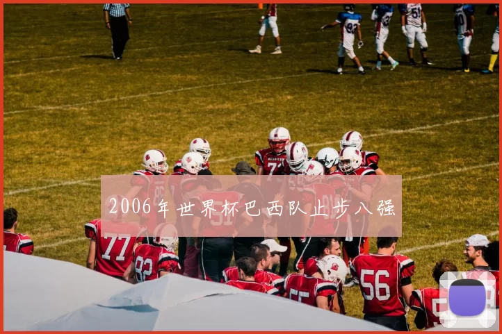 2006年世界杯巴西队止步八强