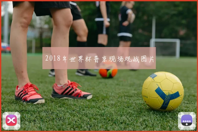 2018年世界杯普京现场观战图片
