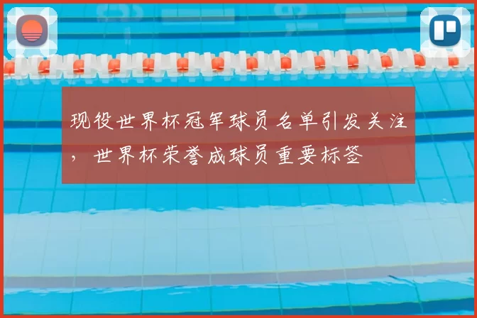现役世界杯冠军球员名单引发关注，世界杯荣誉成球员重要标签