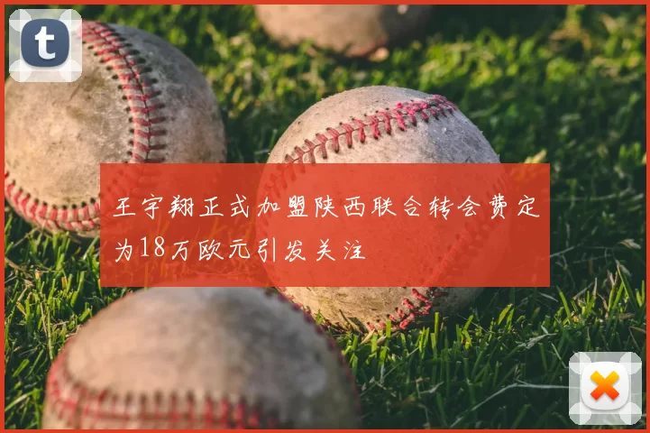 王宇翔正式加盟陕西联合转会费定为18万欧元引发关注