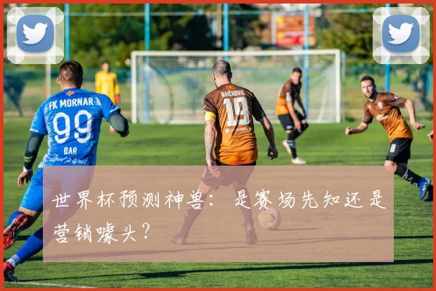 世界杯预测神兽：是赛场先知还是营销噱头？