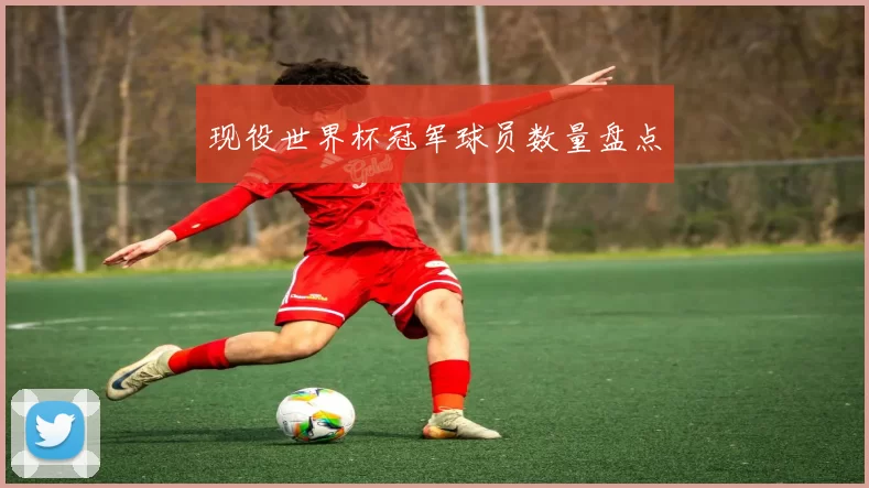 现役世界杯冠军球员数量盘点