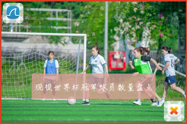 现役世界杯冠军球员数量盘点