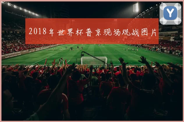 2018年世界杯普京现场观战图片