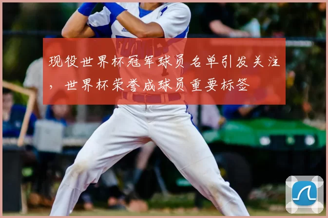现役世界杯冠军球员名单引发关注,世界杯荣誉成球员重要标签
