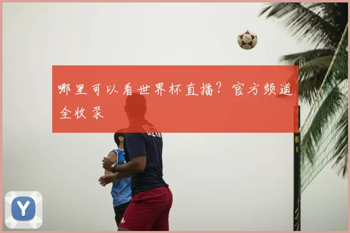 哪里可以看世界杯直播？官方频道全收录