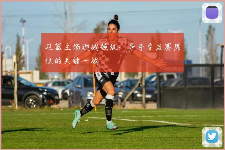辽篮主场迎战强敌,争夺季后赛席位的关键一战