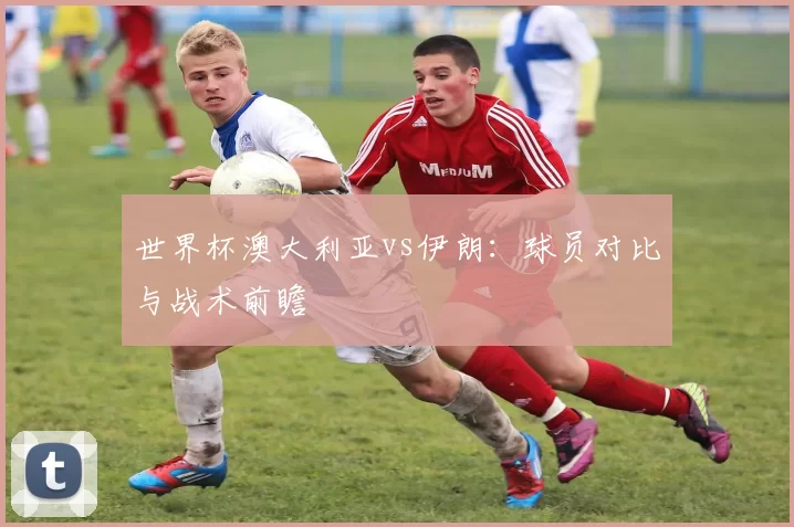 世界杯澳大利亚vs伊朗：球员对比与战术前瞻