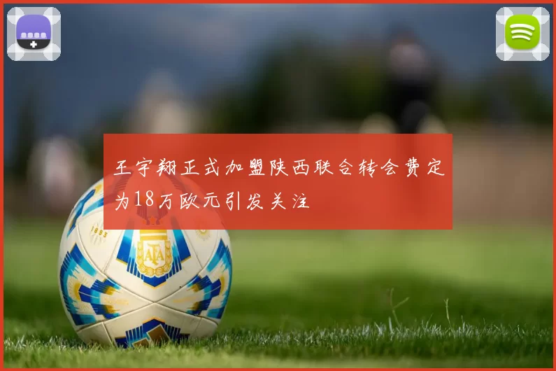 王宇翔正式加盟陕西联合转会费定为18万欧元引发关注