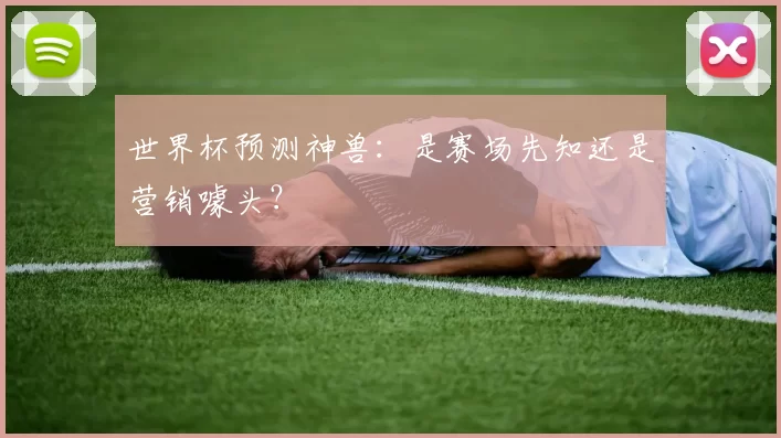 世界杯预测神兽：是赛场先知还是营销噱头？
